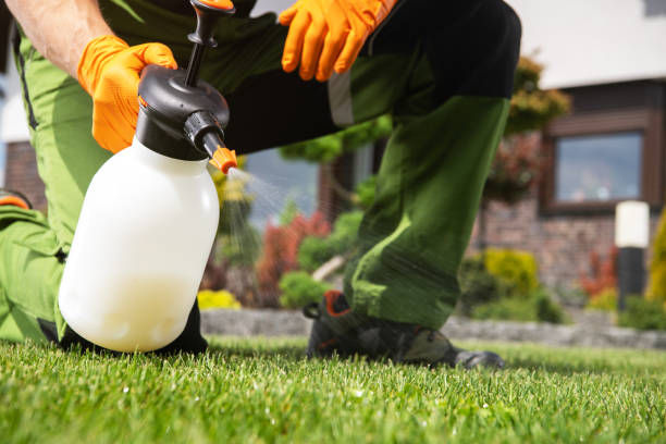 Best Wildlife Control Services  in Aust, IN