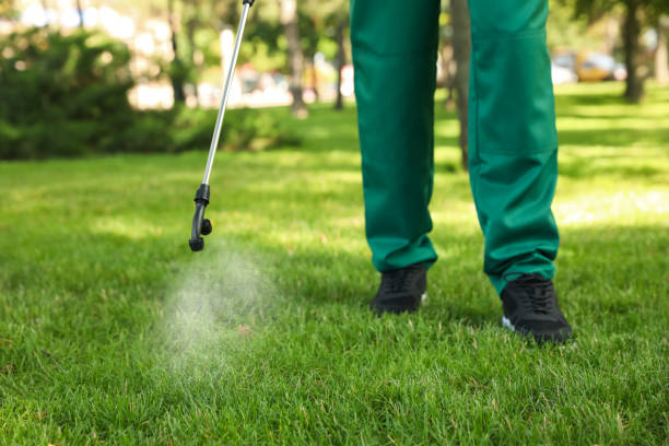 Best Pest Inspection Near Me  in Aust, IN