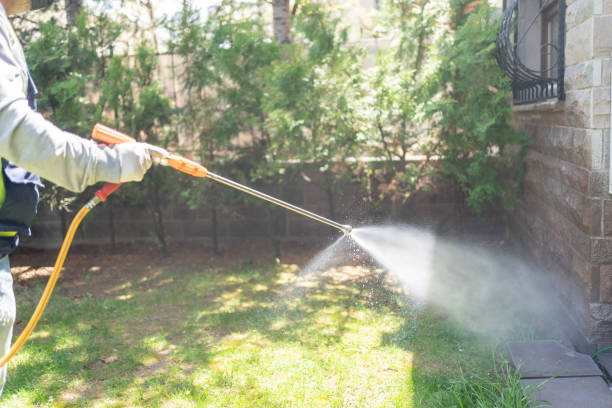 Best Pest Removal Services  in Aust, IN