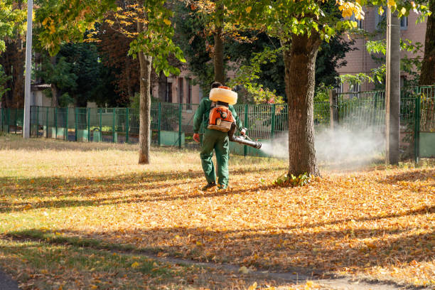 Best Pest Control Treatment  in Aust, IN